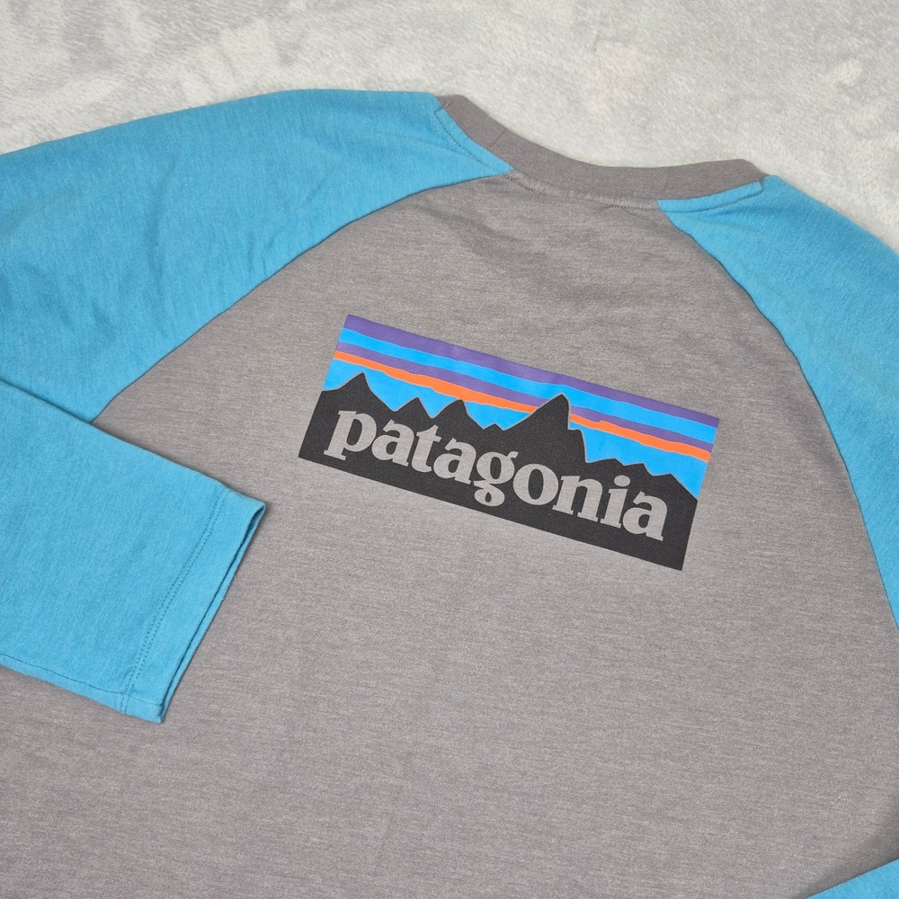Patagonia Mens XXL Organic Cotton Raglan Sweatshirt Grey Blue Back Graphic Big